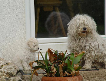 Mama mit Schwester